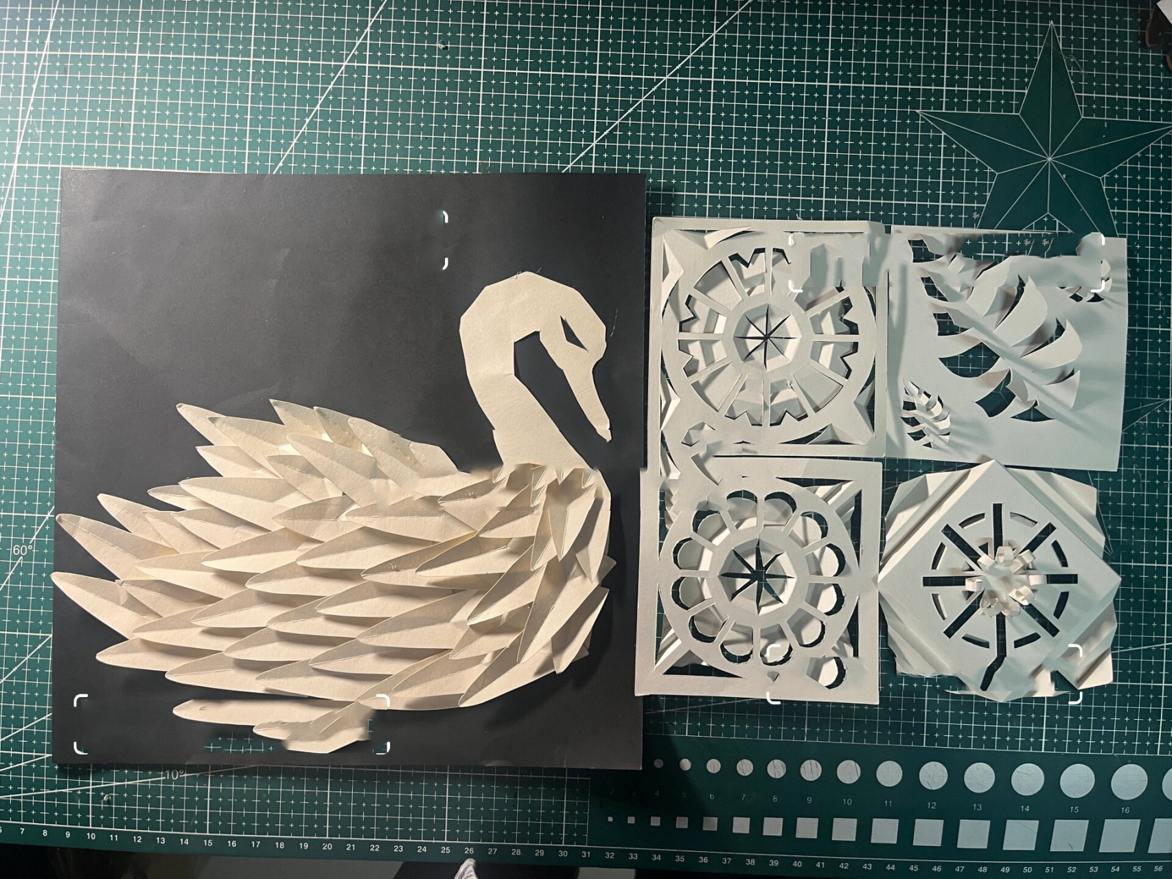 仿生半立体构成|天鹅|仿生花|纸艺定制 支持【实物邮寄】【拍照】 满