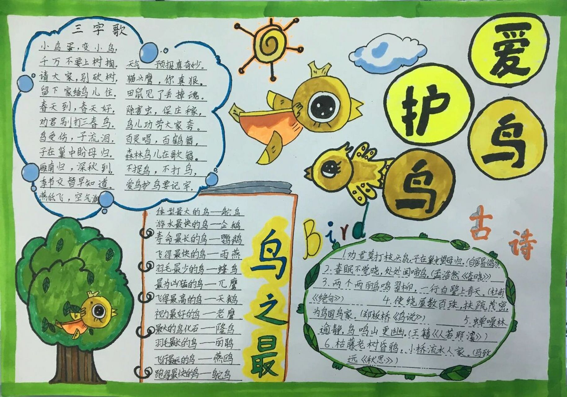 小学 爱鸟护鸟 爱护 保护 动物 手抄报