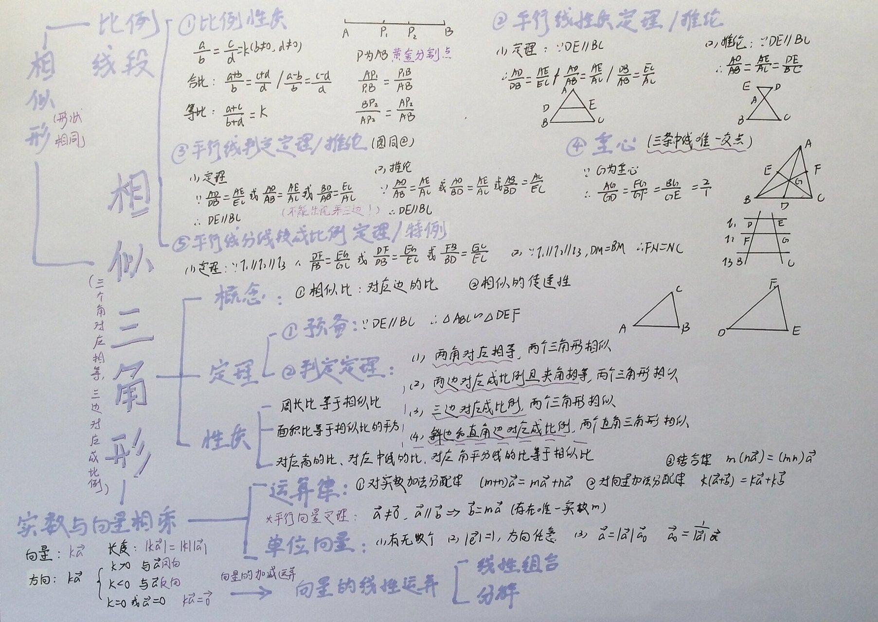 相似知识结构图图片