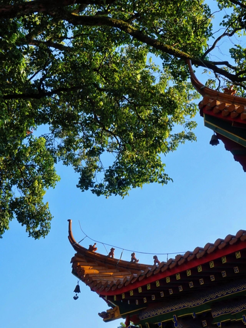 南京小众景点 | 六合灵岩山风景区 近期刷到灵岩寺被誉为"中国最有