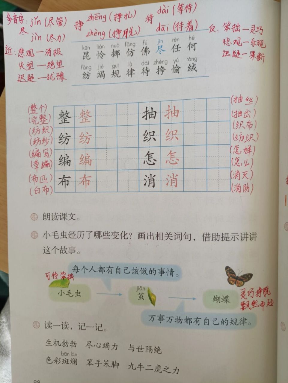 《小毛虫》预习课堂笔记备课 #教师备课# ##二年级语文# #预习# #课堂