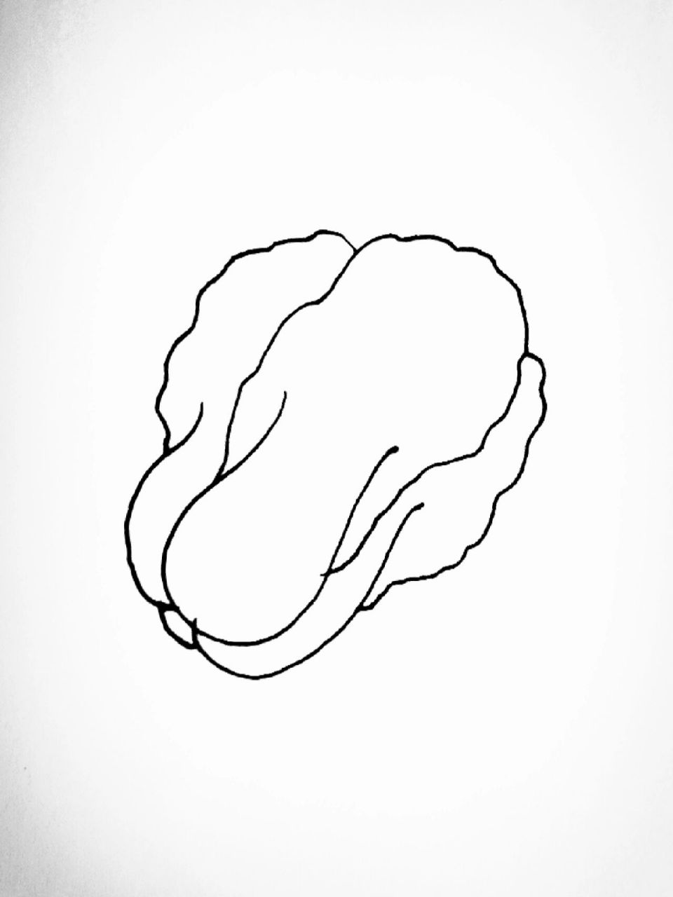 一起学画大白菜02