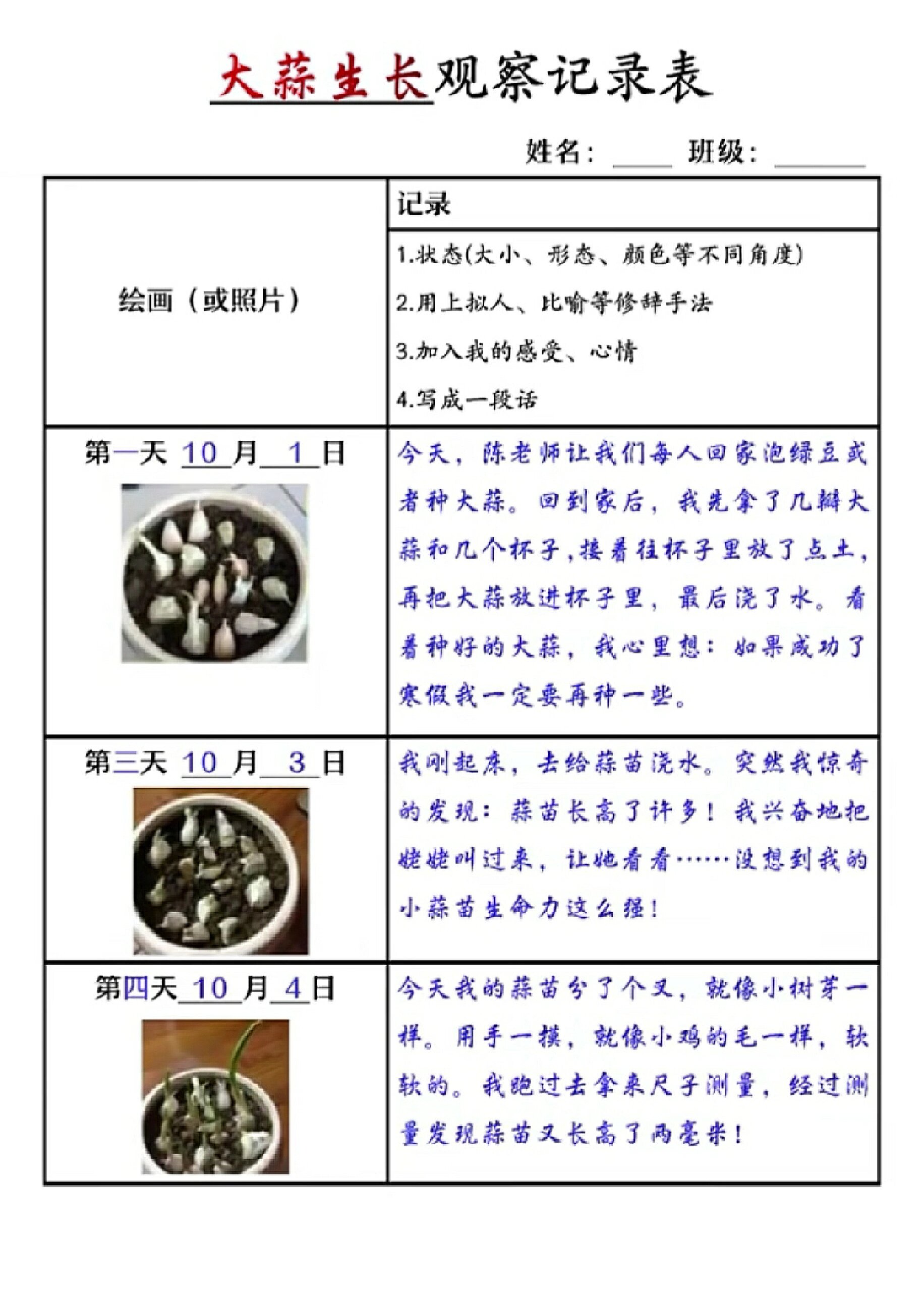 植物生长变化日记图片