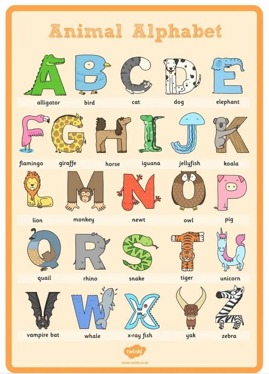 英文26个字母|动物版|创意海报 大家都很喜欢的这台字母卡 有海报
