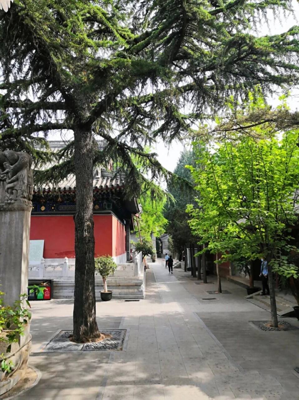 北京白云观 我的第一个道观