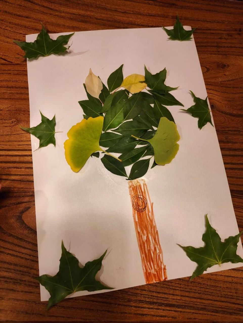 六岁简单粘贴树叶画图片