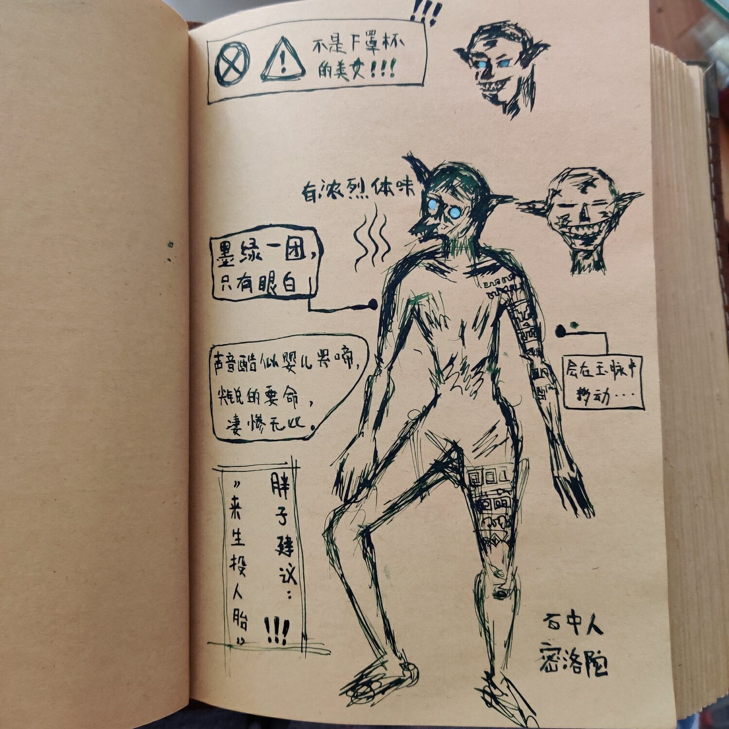 在我第1次看盗墓笔记的时候,第1次看到石中人,我脑子里它就长这个