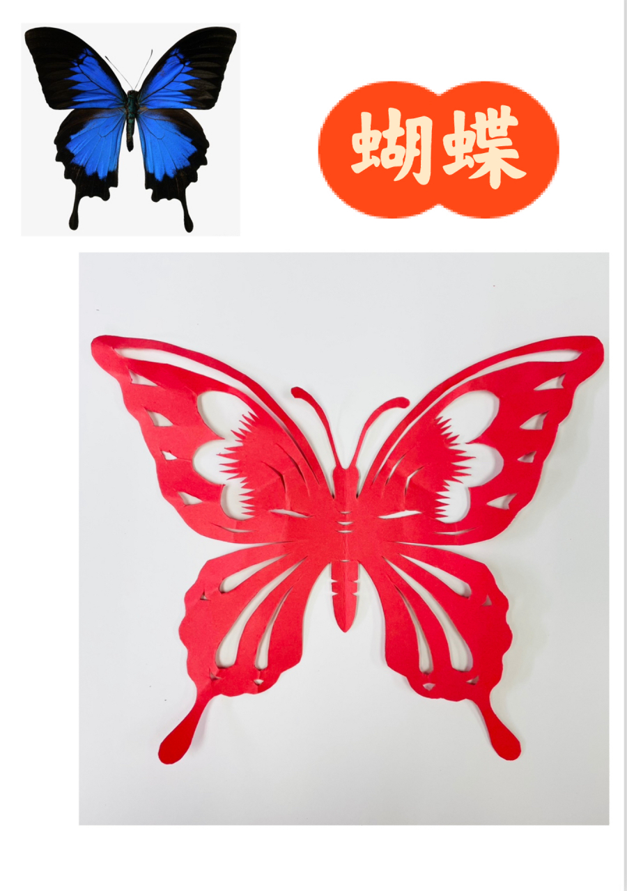 蝴蝶对称图形剪纸步骤图片