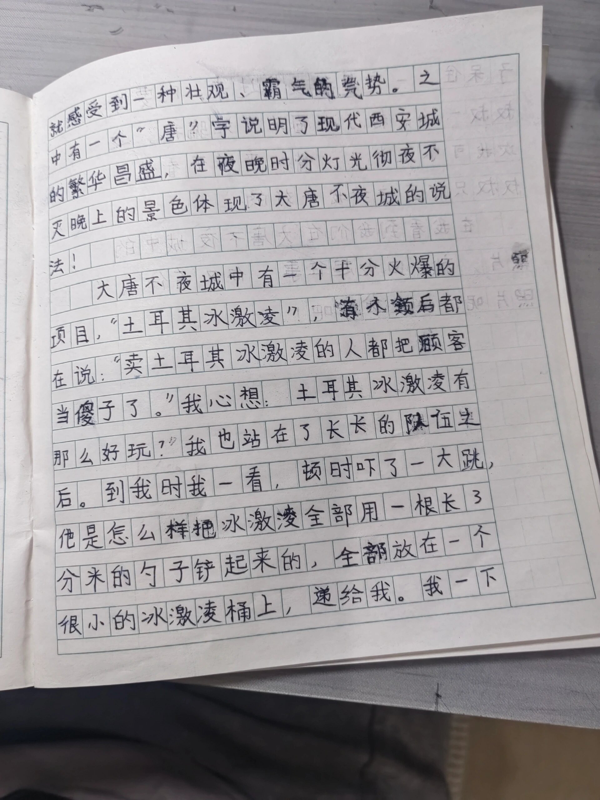 我家的一张照片(作文)