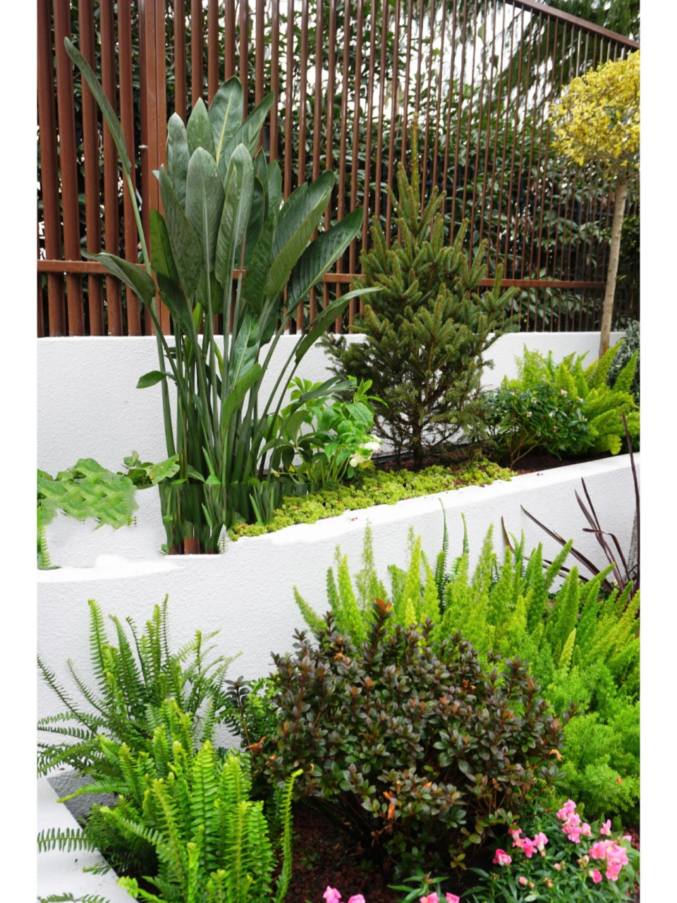 适合上海冬天的耐寒花园花境植物设计 冬天的花园大部分是比较萧条的