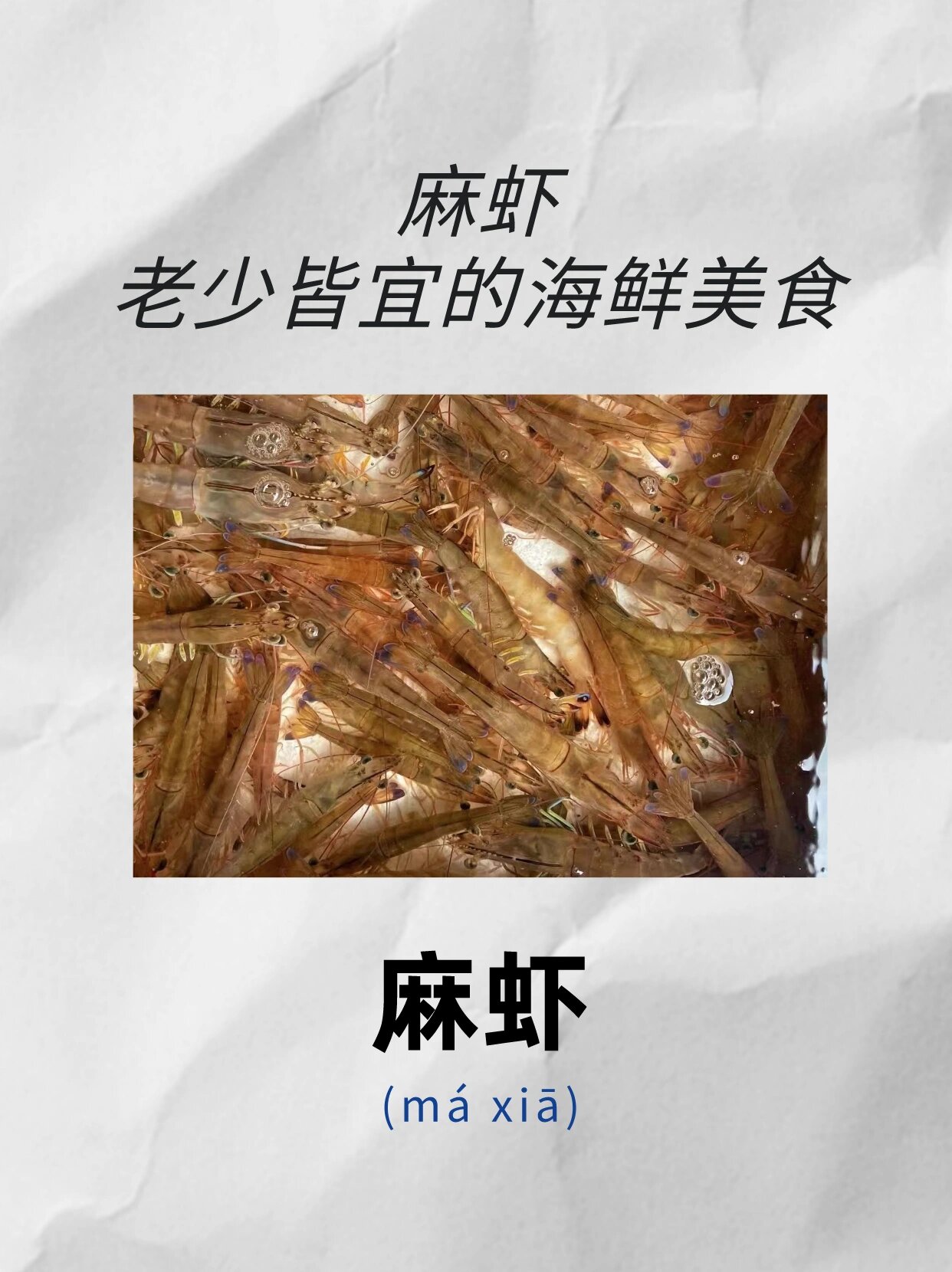 麻虾丨老少皆宜的海鲜美食