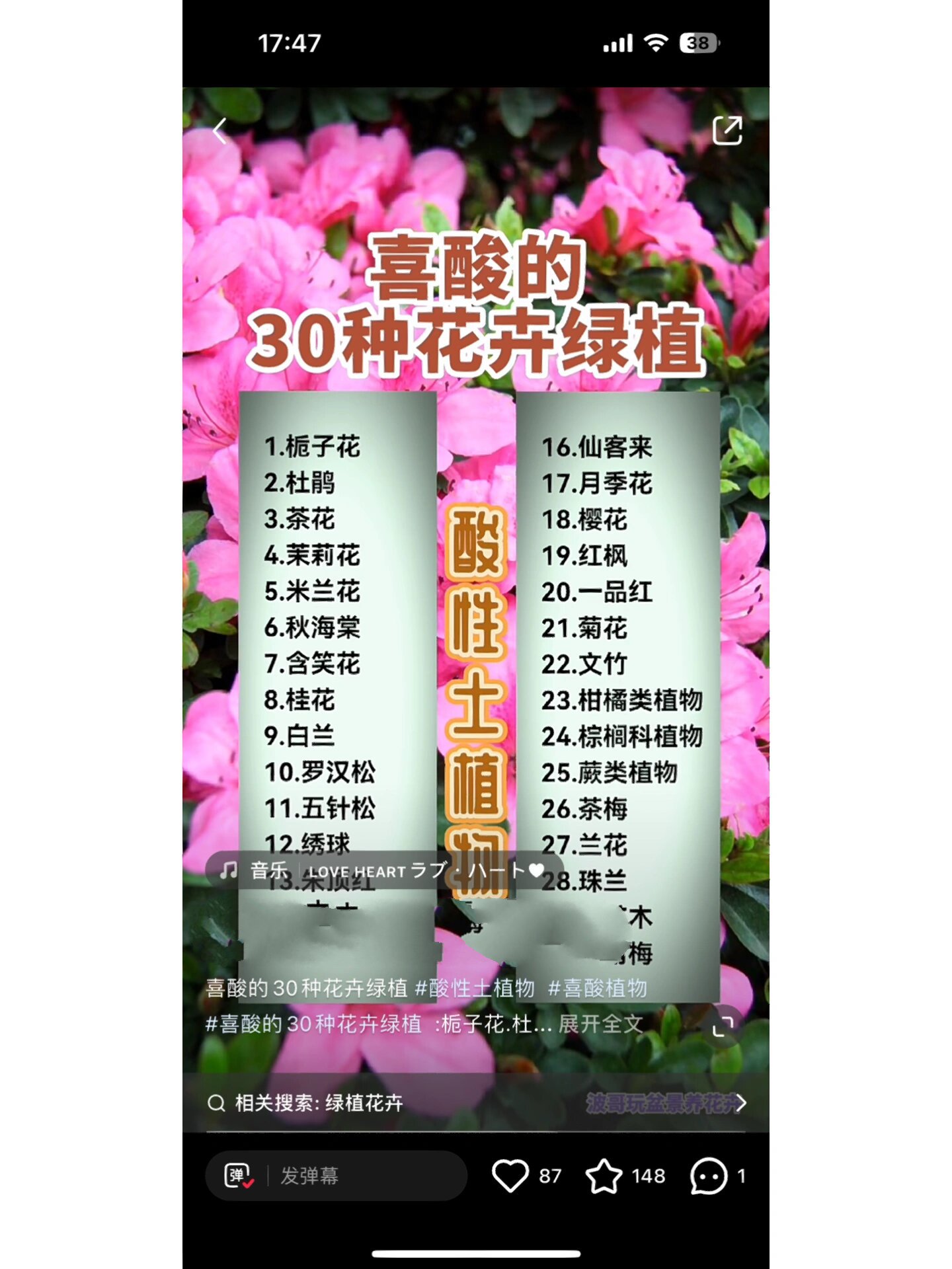 养花土壤酸碱性花卉大全