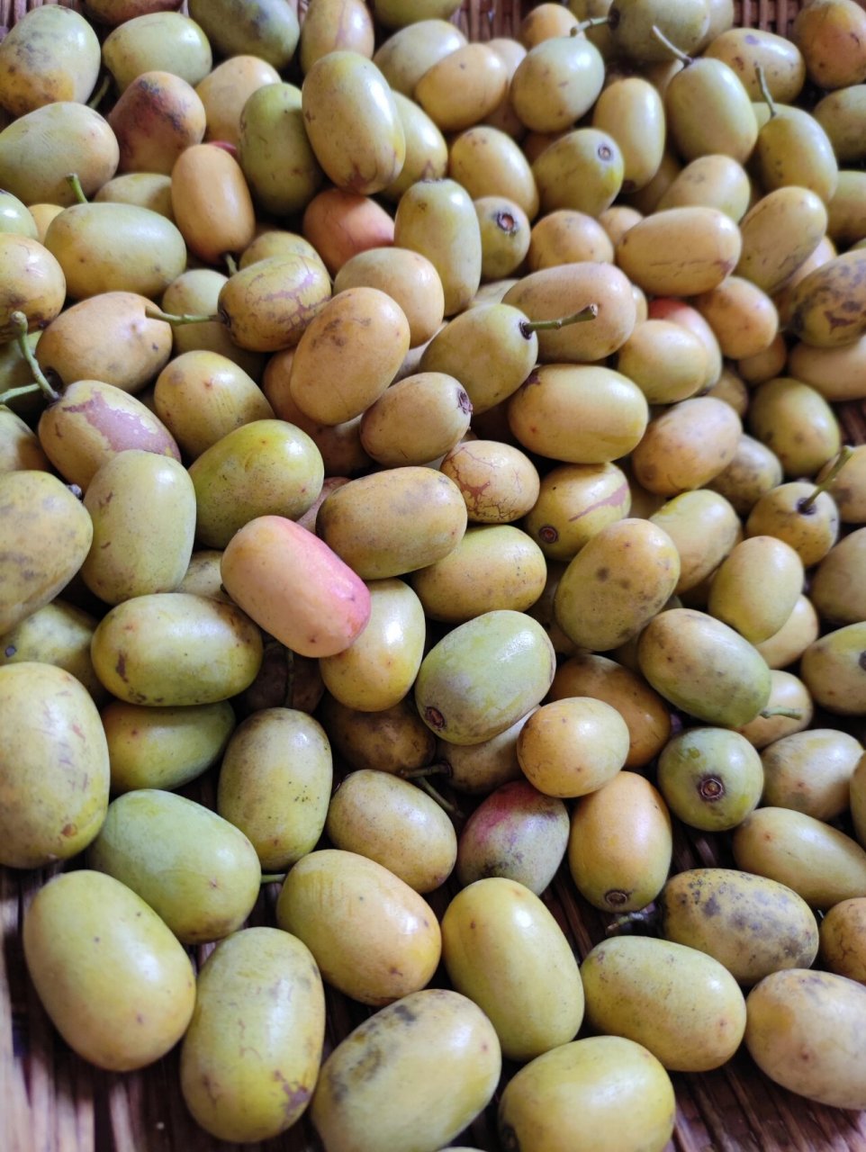 酸枣可以怎么吃? 除了剥皮直接吃,还有什么吃法?