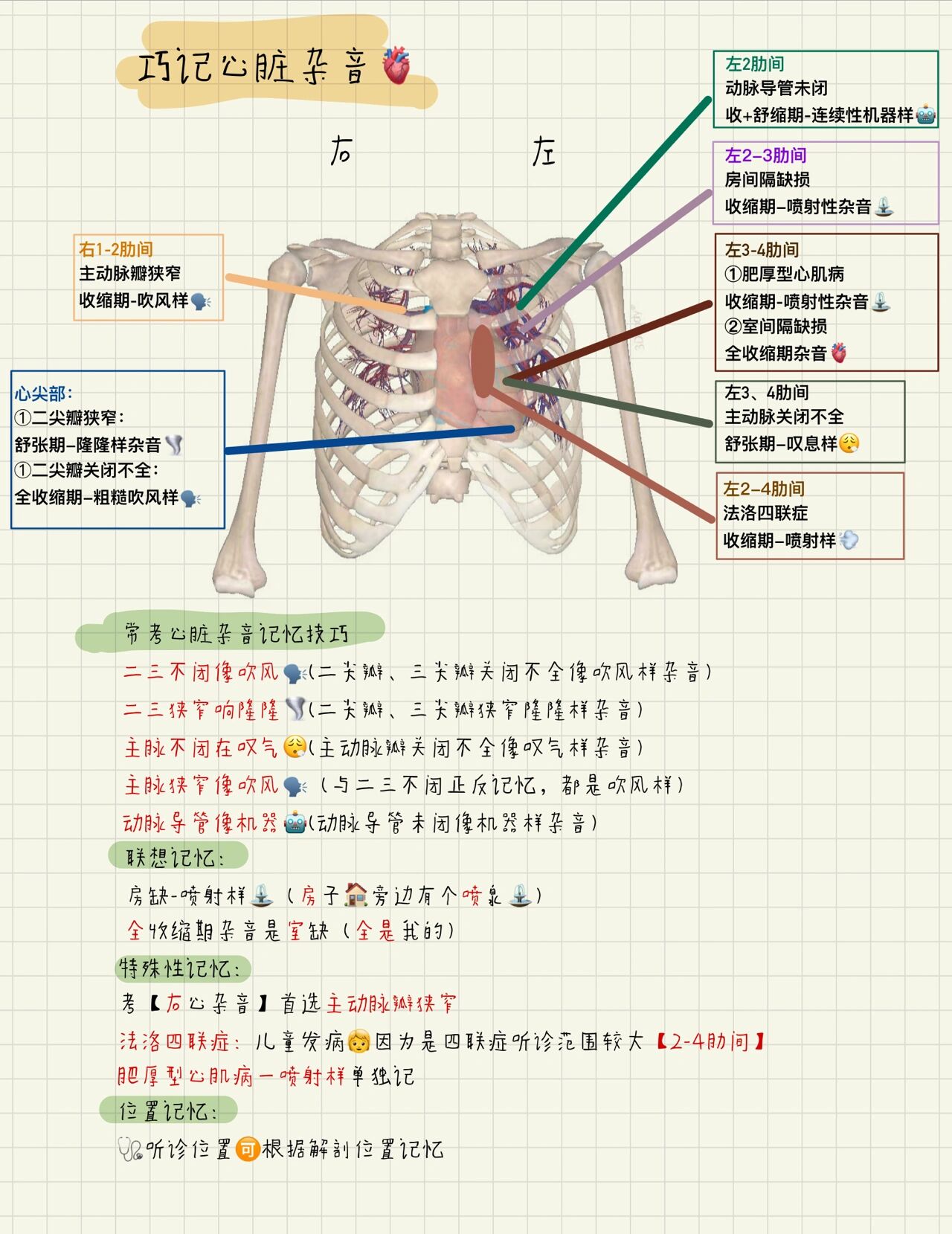内科护理学|巧计11种心脏🫀杂音 巧计11种心脏杂音🫀头秃总结👩