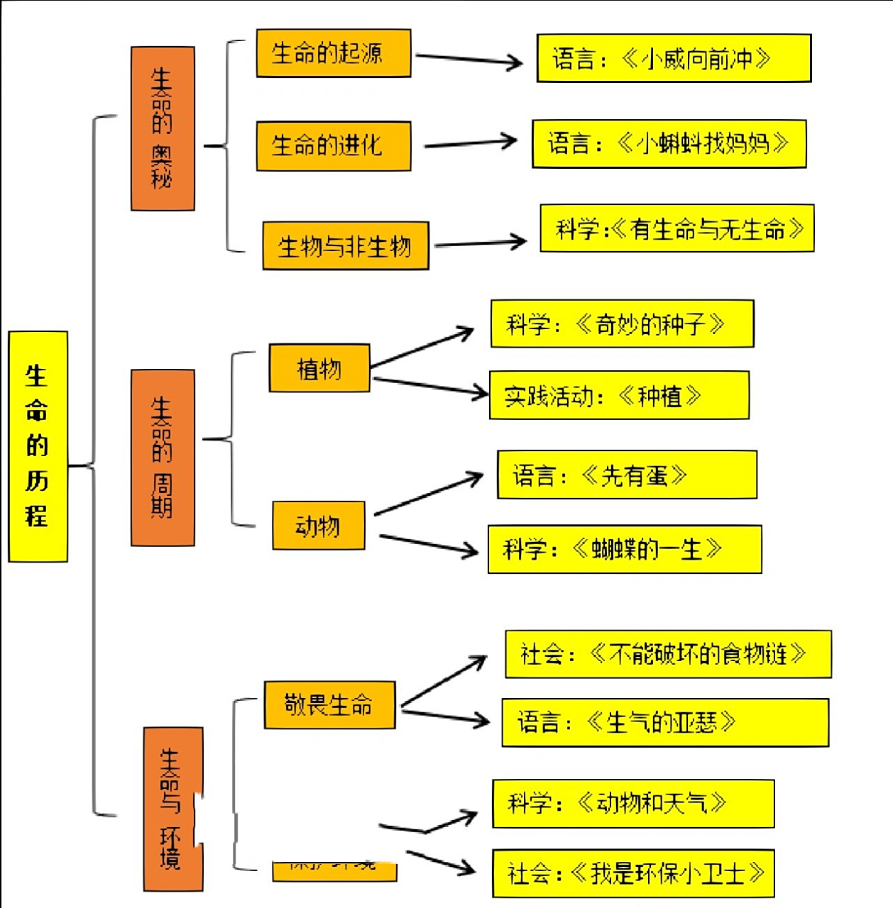 大班主题活动《生命的奥秘》