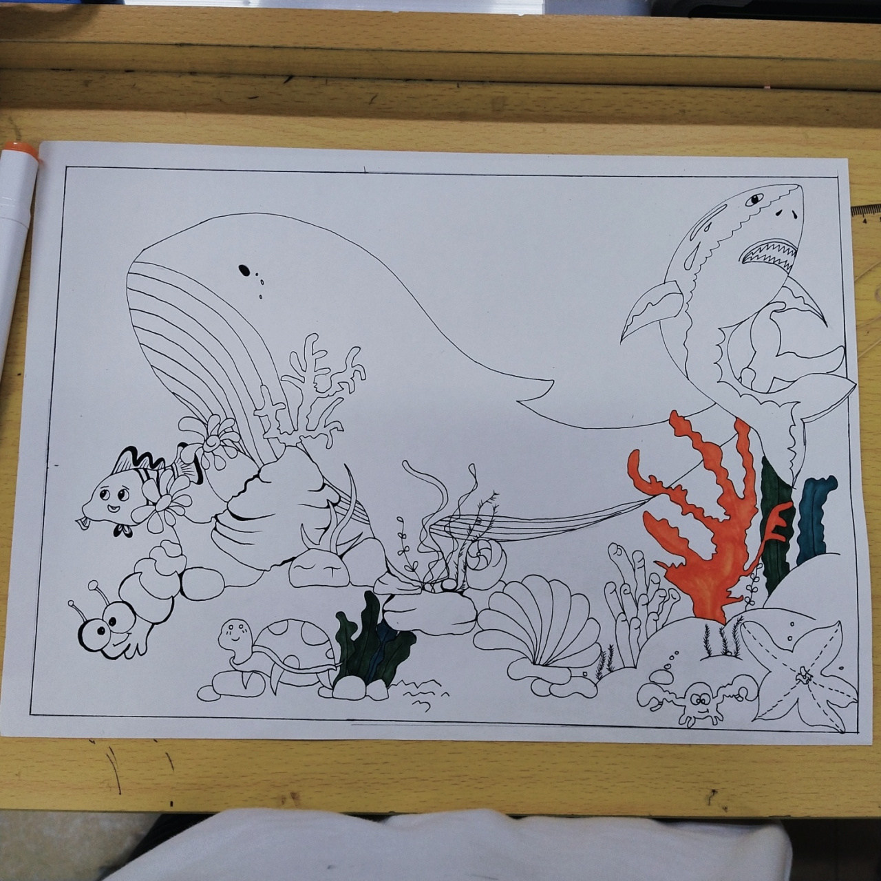 海底世界简笔画 题目要求是要有小丑鱼,鲸鱼,鲨鱼,乌龟