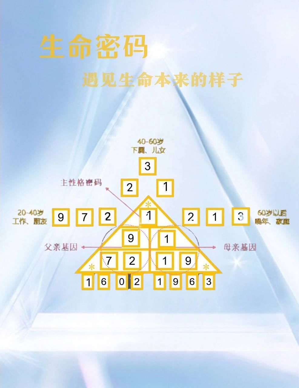 生命密码到底是什么?