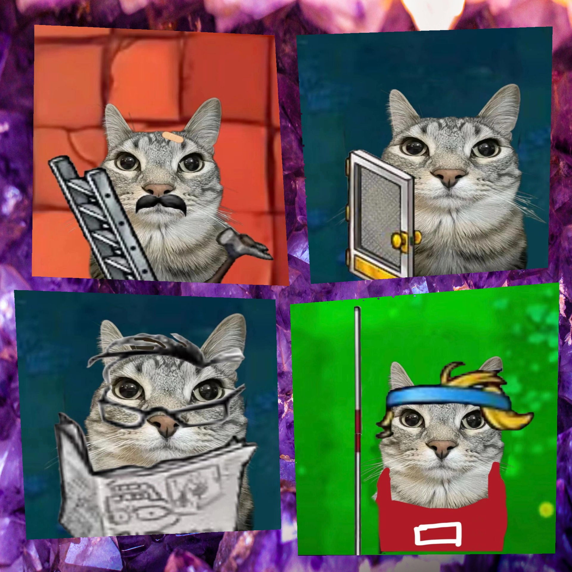 pvz版严肃猫植物大战僵尸风格
