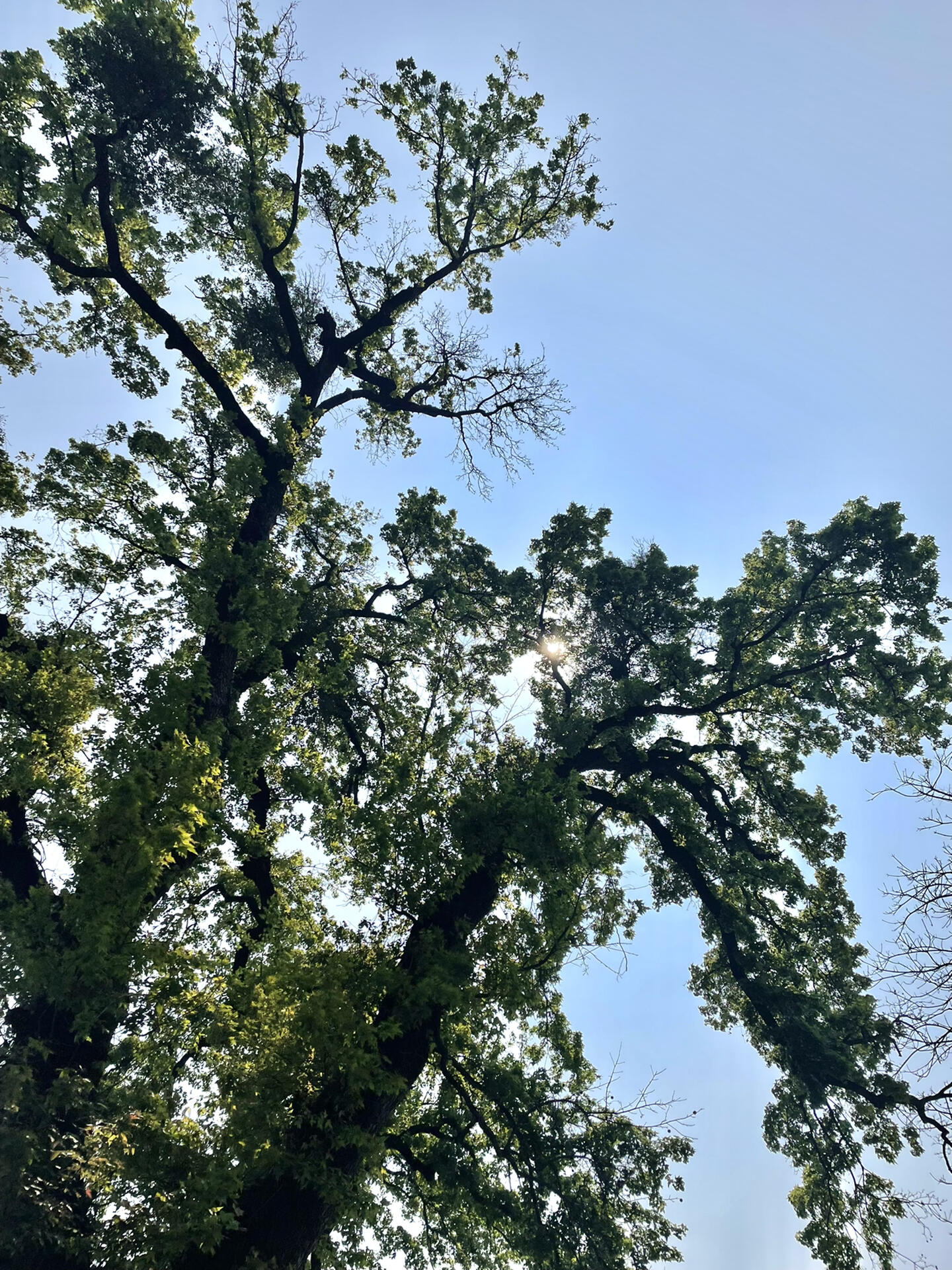 南宁横县伏波庙