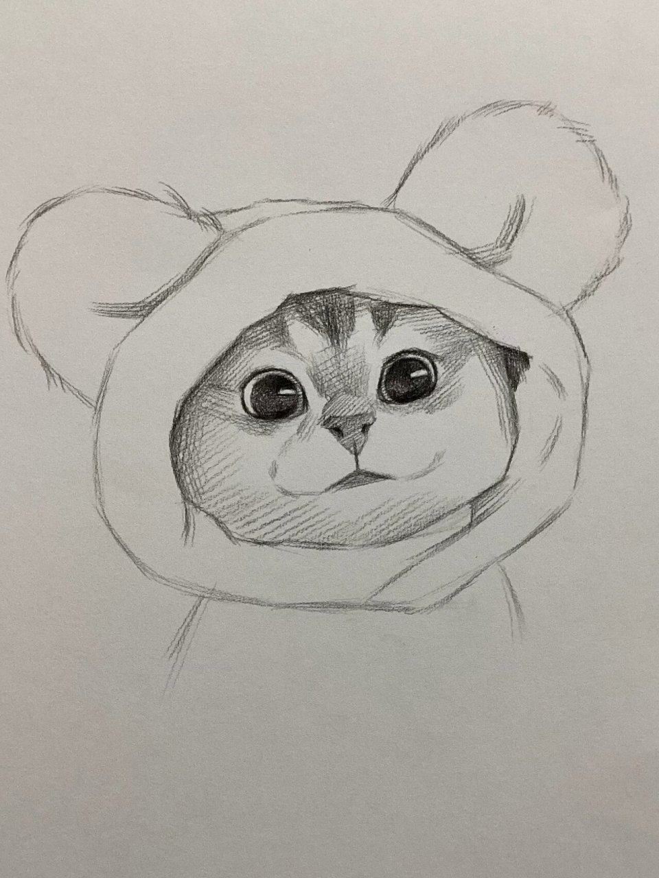 素描 超可爱猫咪详细画法