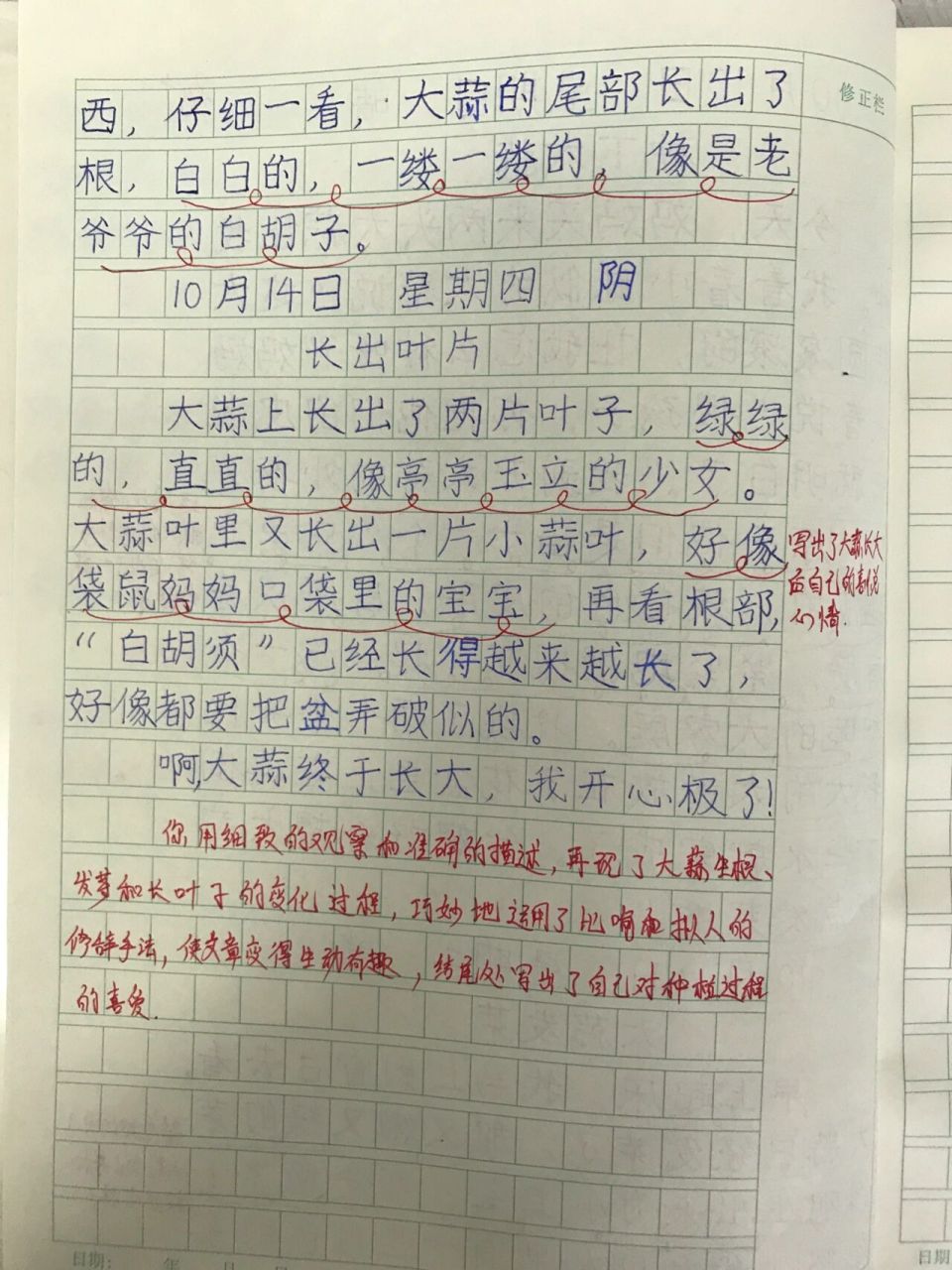 四上三单元《观察日记》佳作欣赏 这几篇习作都是有关植物生长的内容