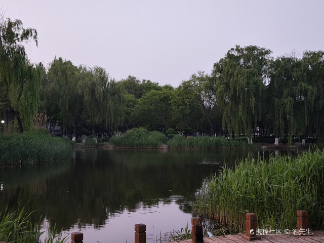 城市绿化,市民公园,肥城范蠡公园.