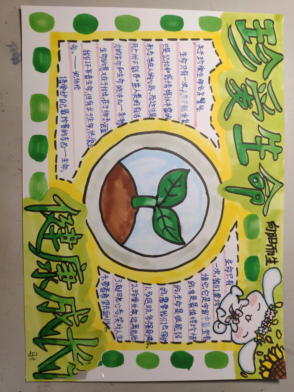 珍爱生命的手抄报