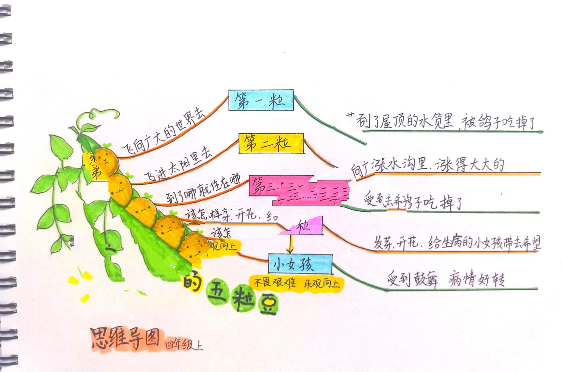 四年级 一粒豆荚里的五粒豆 思维导图