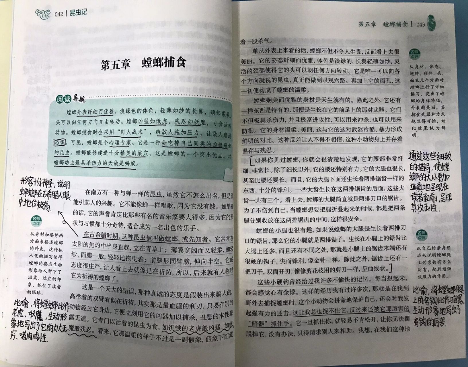 昆虫记第五章《螳螂捕食》批注