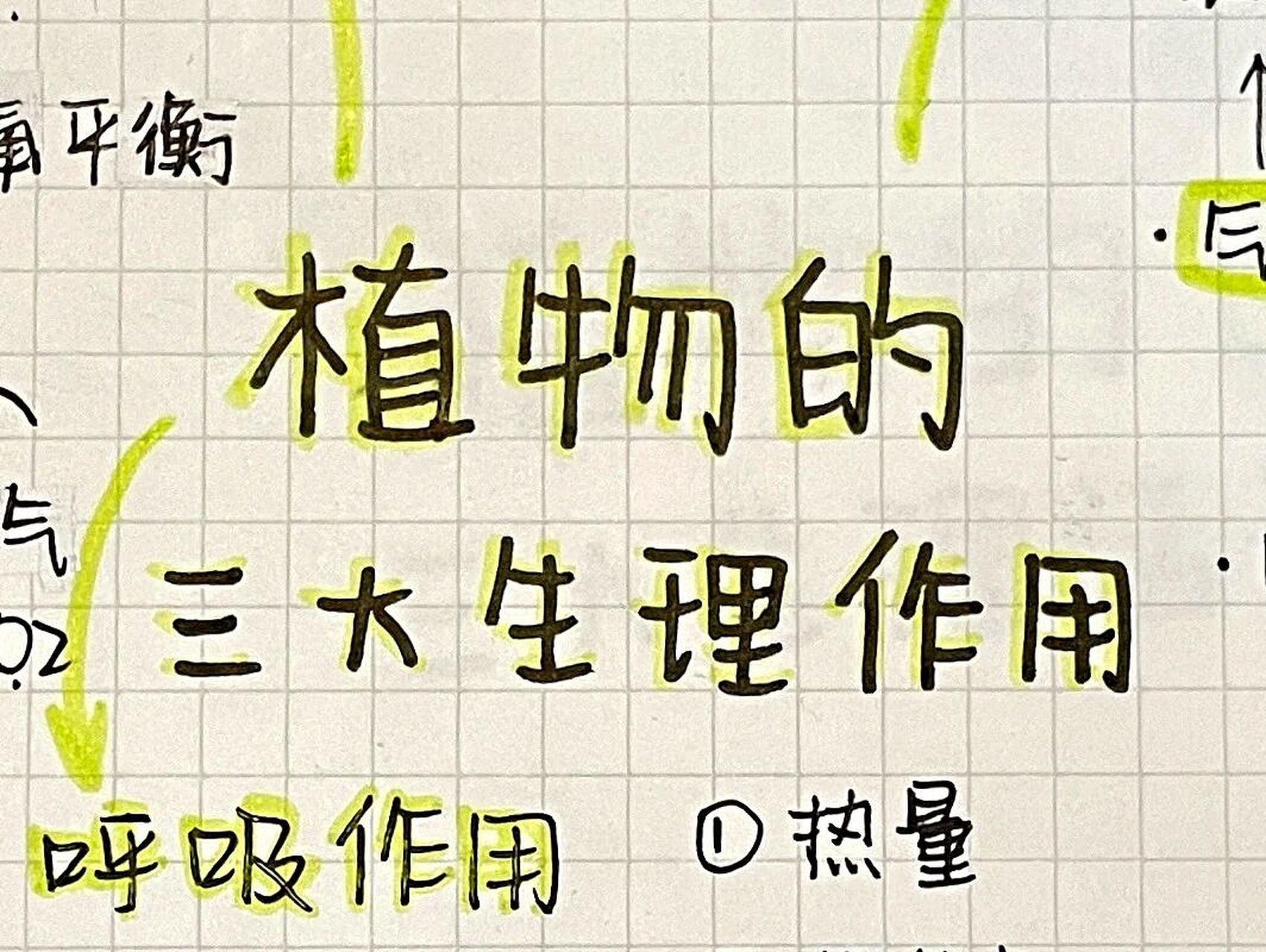 生物-植物的三大生理作用94 又是思维导图 来啦 生物作业   不是