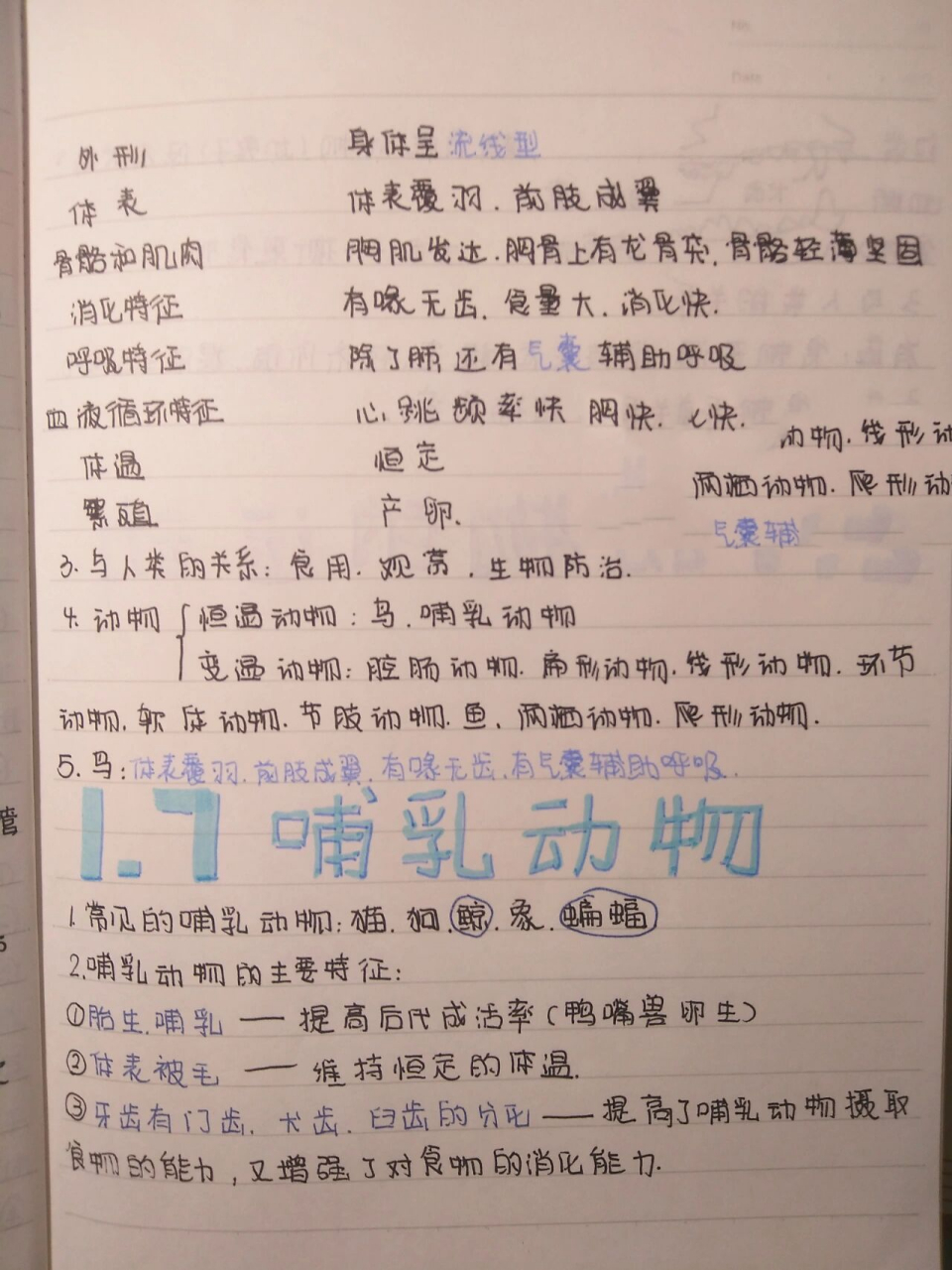 八上生物哺乳动物笔记   我们常见的小猫小狗是哺乳动物,鲸虽然没有被