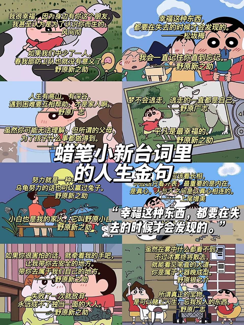 蜡笔小新台词里的人生金句|2.