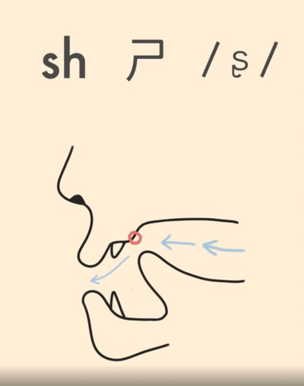 国际中文老师必备7575汉语拼音发音舌位图 汉语拼音三大难题 92
