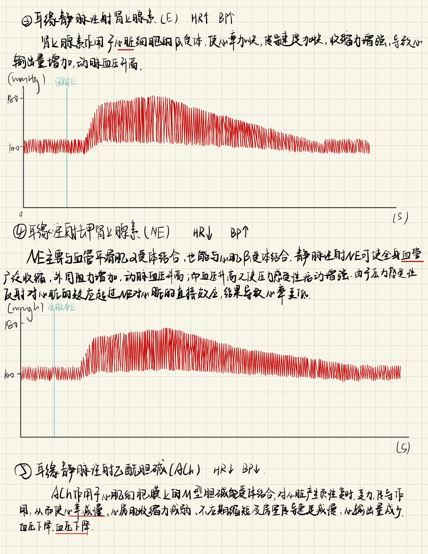 家兔正常血压曲线图图片