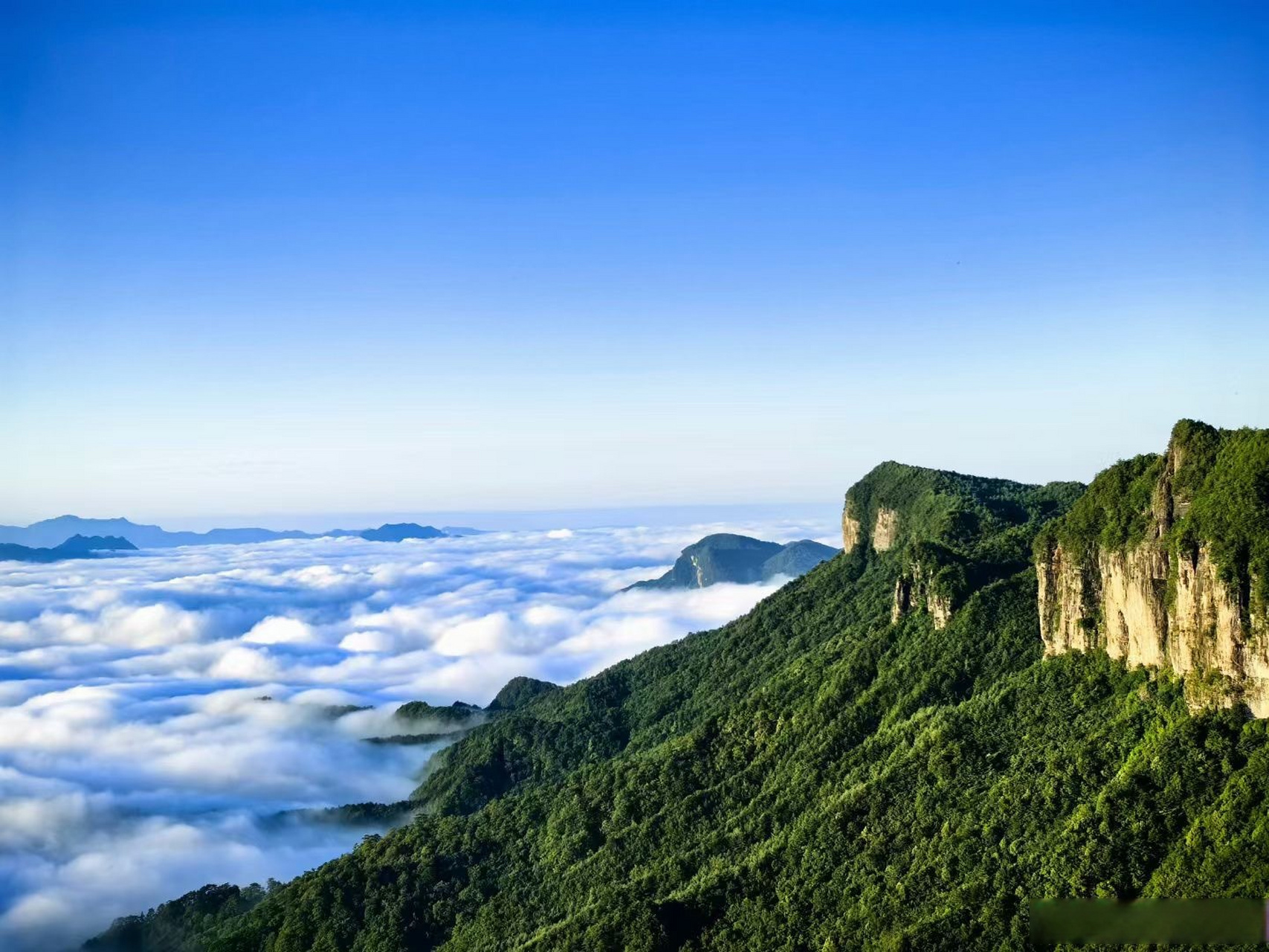 龙神阁日出云海# 龙神阁位于四川省广元市朝天区曾家山鸳鸯池森林