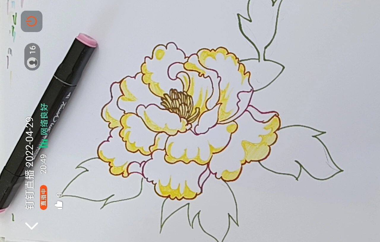 牡丹花马克笔保姆式教程
