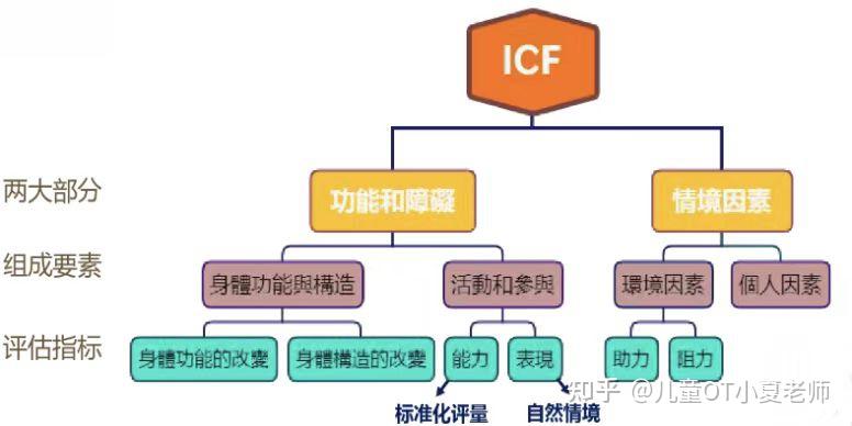 作业治疗框架二icf国际功能失能和健康分类