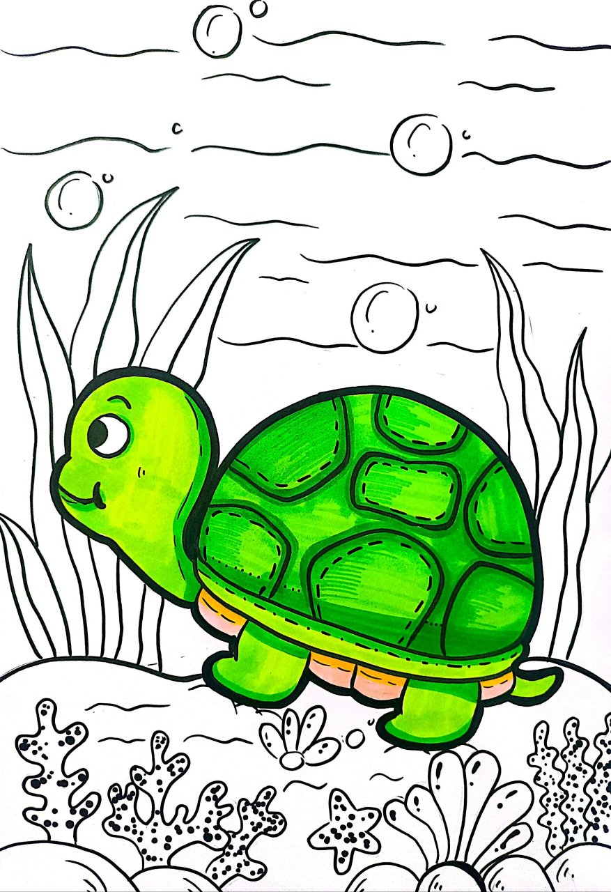 🎨1⃣️5⃣️3⃣️|乌龟🐢‖简笔画 🌟"海底动物"