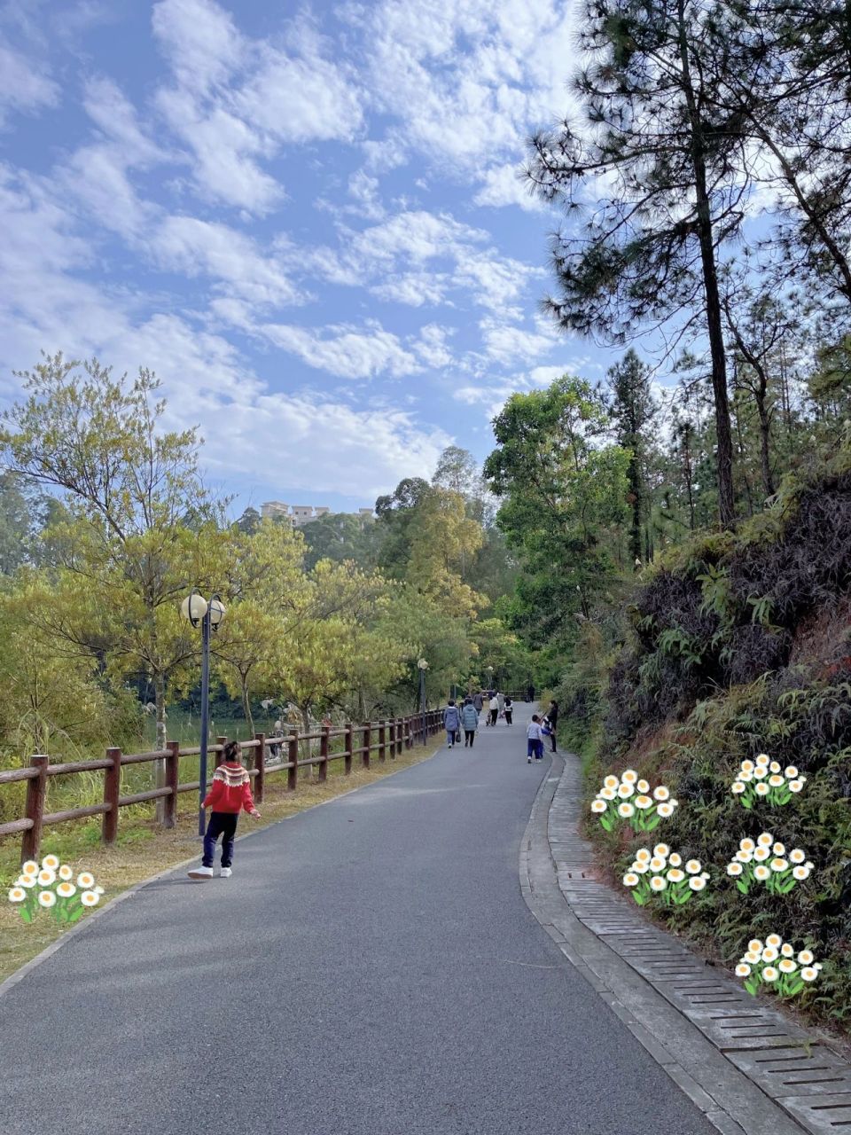 惠州溜娃|又发现一个好玩的公园 博罗县东山省级森林公园 从惠城江北