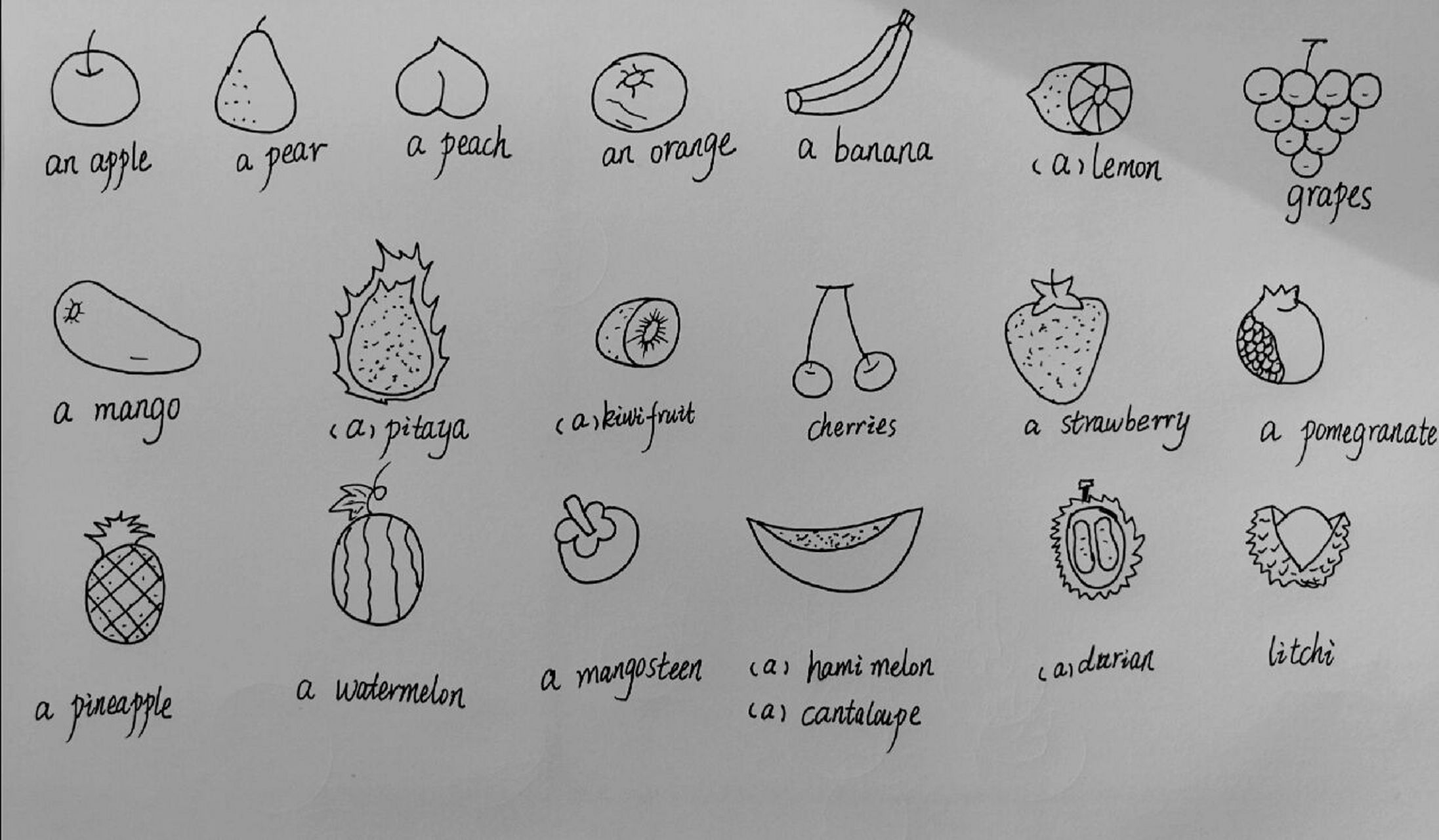 三下u5fruit(英文水果简笔画)