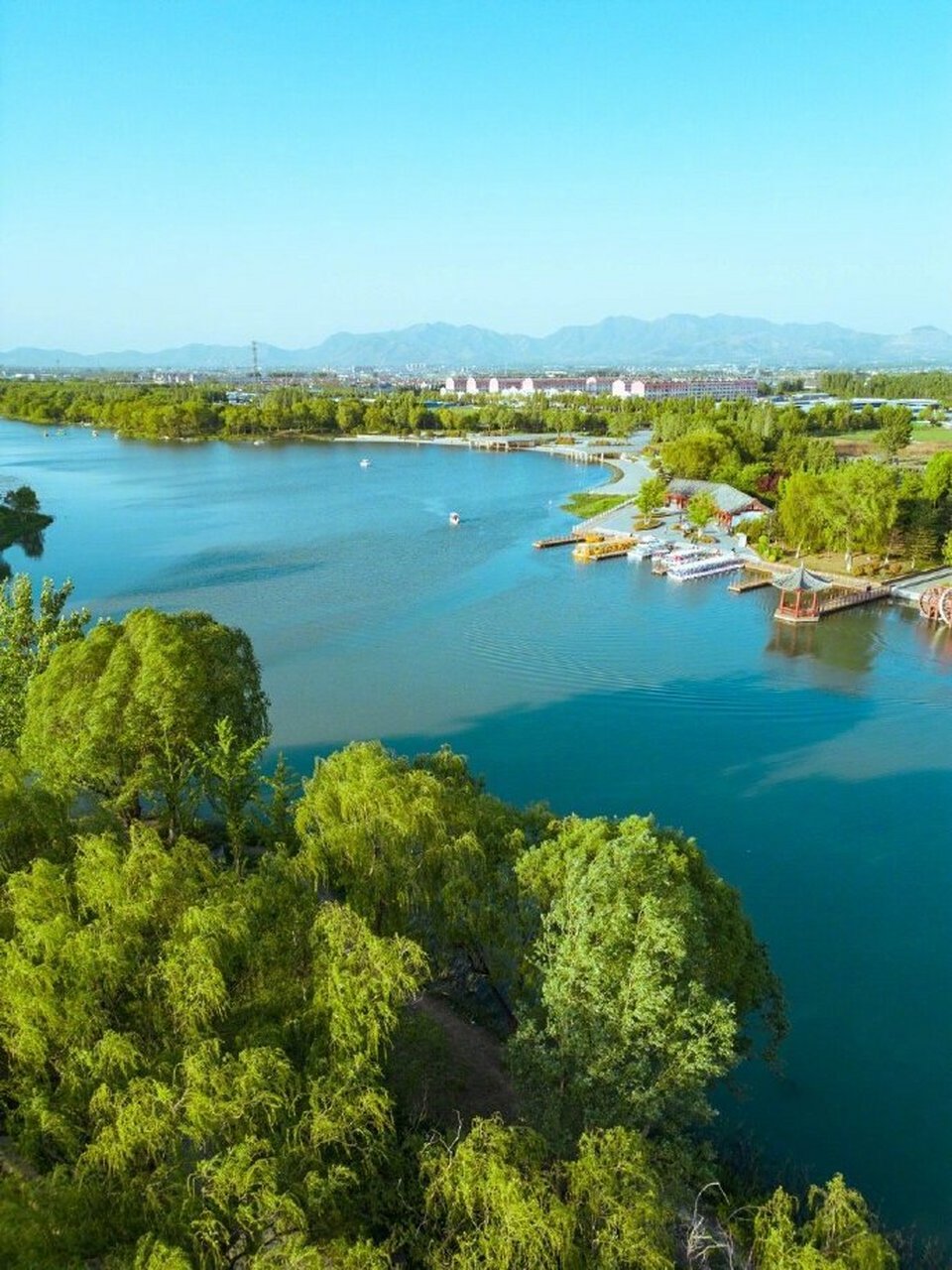 五一你就来山东# 此时的绣江河公园生机勃勃,一片生机盎然的美丽景致