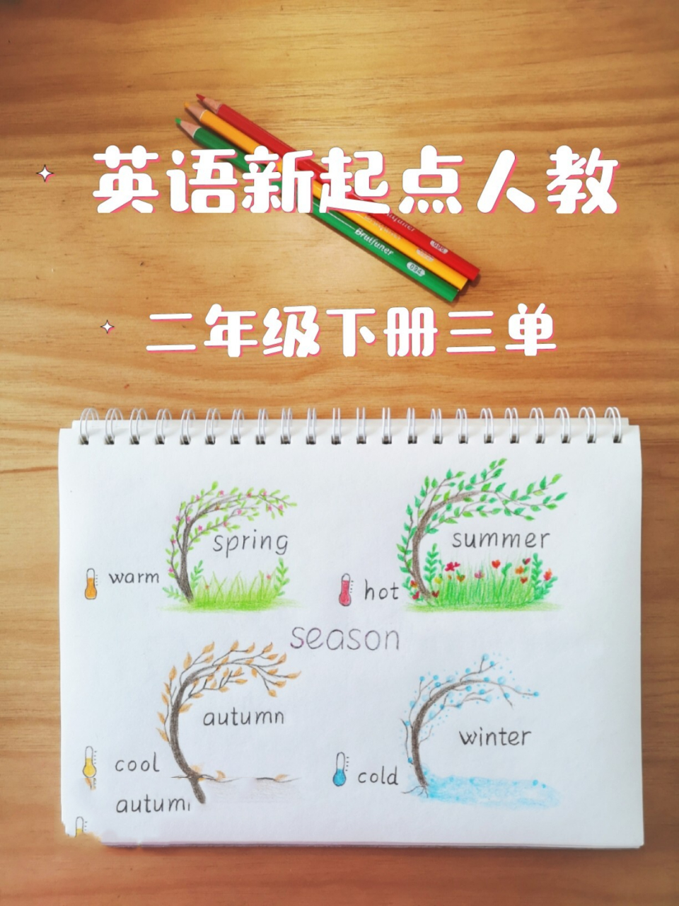 用一棵树来区分97919495简单易画 99小学英语思维导图已经
