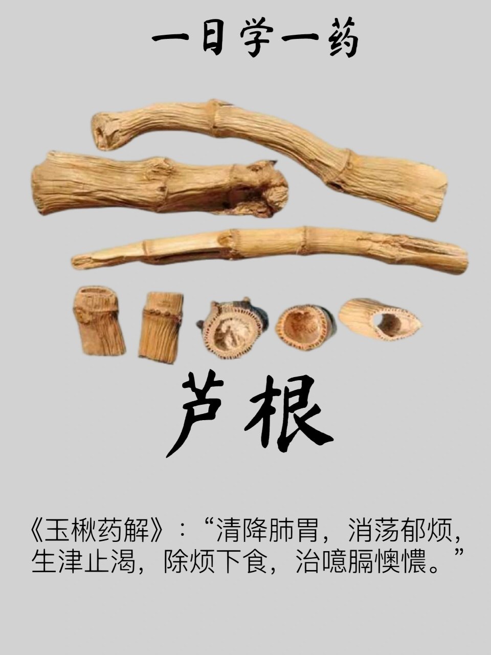 芦根  【别名】芦茅根,苇根,芦头,芦柴根 【来源】为禾本科芦苇