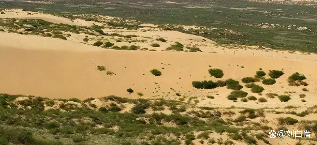 在中国内蒙古的库布齐沙漠,有一项伟大的工程改变了人们对沙漠的认知