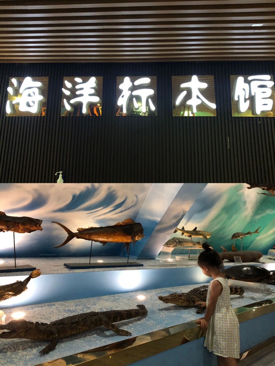 徐州市水族展览馆图片