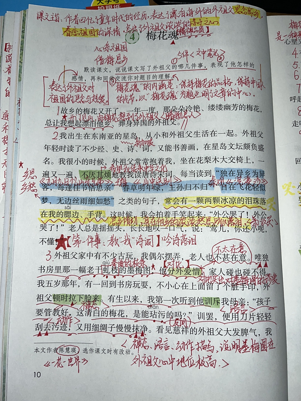 五年级下册语文《梅花魂》笔记94 小学语文|五年级语文下册课堂笔记