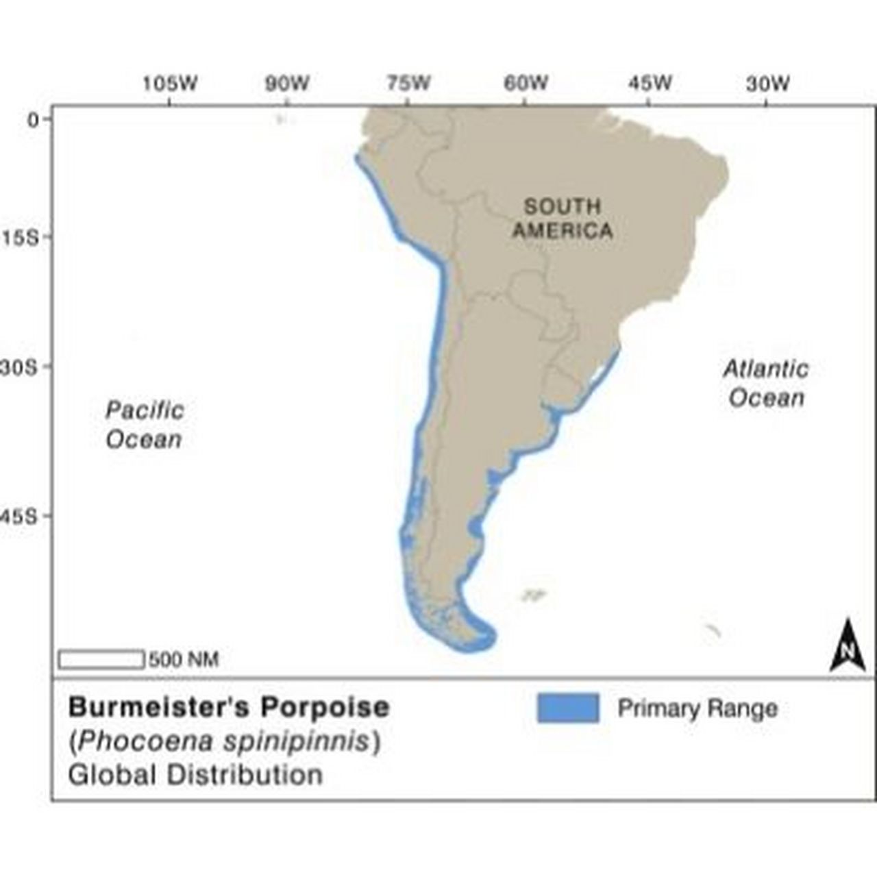 porpoise 鼠海豚 phocoenidae 鼠海豚科,有3个属.