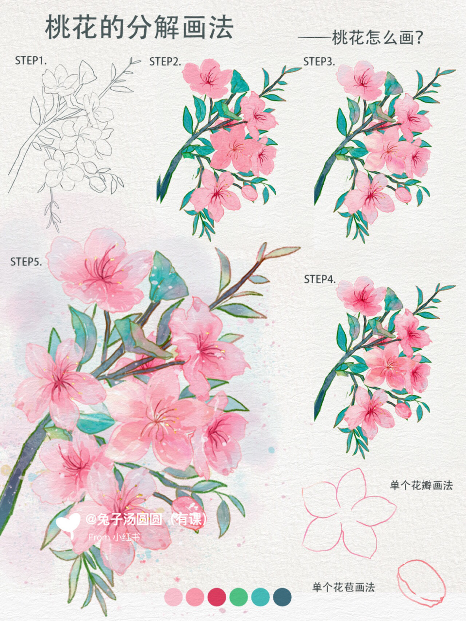 零基础学插画|桃花的分解画法94 画画的第30天-桃花怎么画呢 绘画