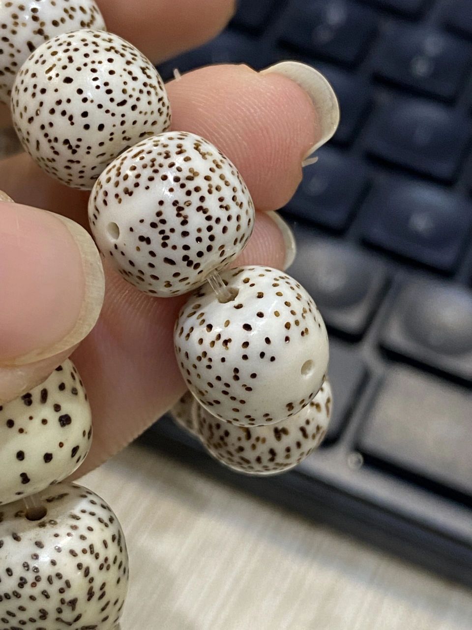 脱脂顺白与原生态顺白星月菩提的区别6015 又来给大家补知识啦