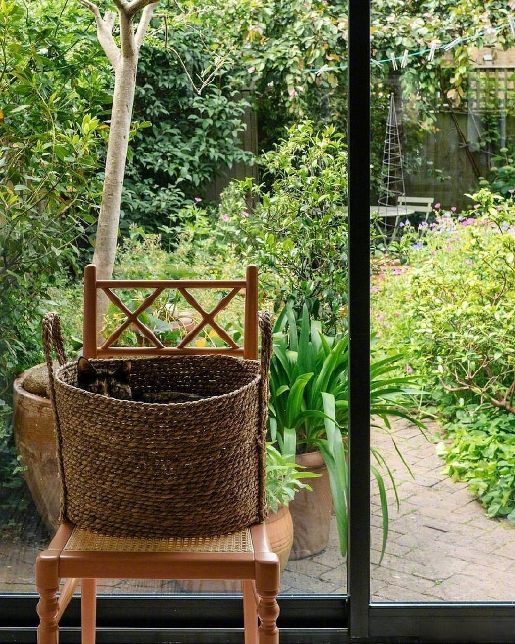 nwu分享#  夏日的慵懒[期待][期待][期待] via:p图调色